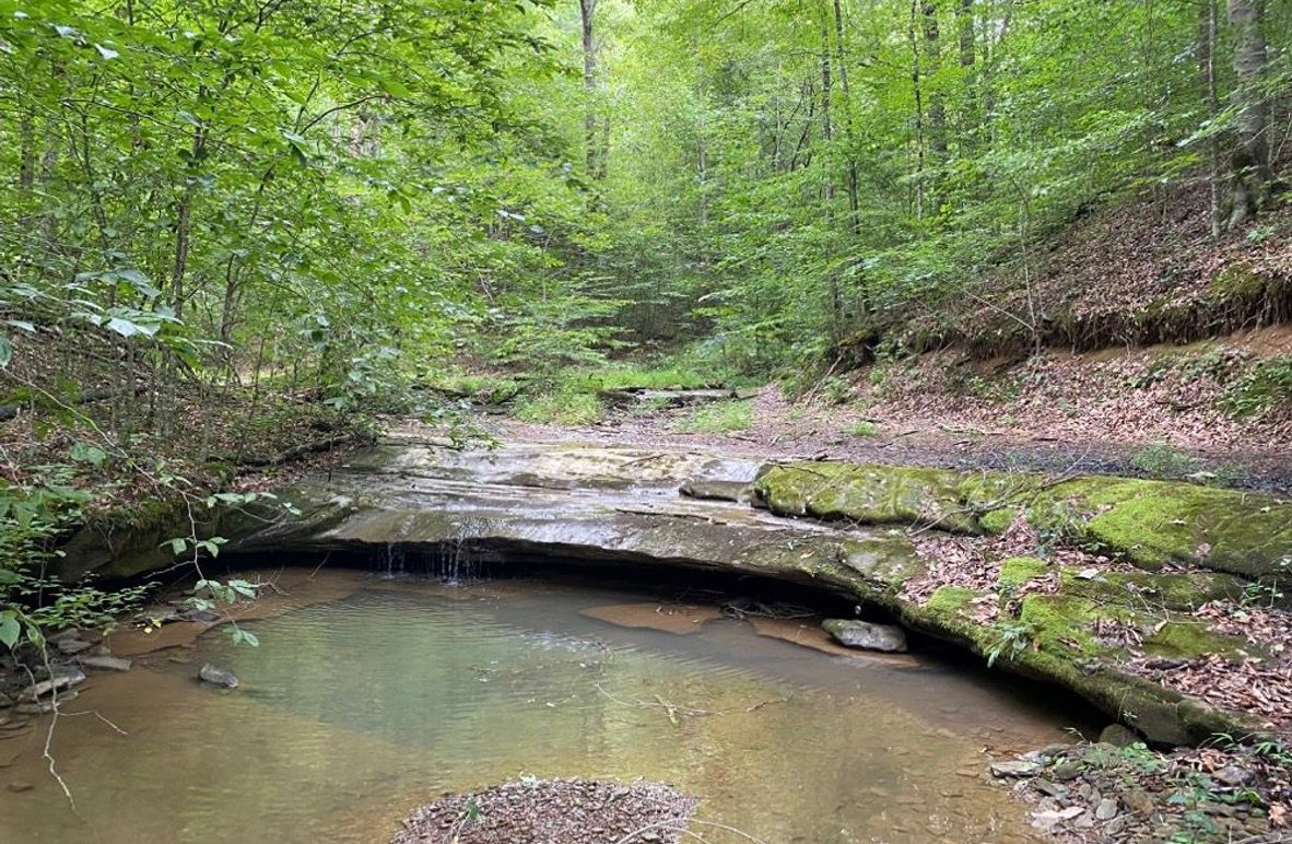 001 beautiful blue line stream running through the property near the north boundary