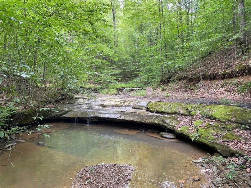 001 beautiful blue line stream running through the property near the north boundary