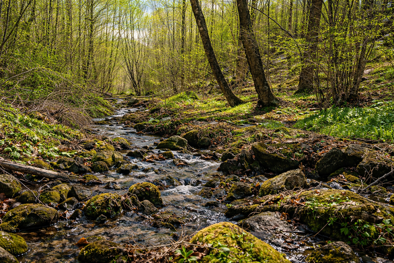 ChatGPT Image Mar 30, 2026, 12_20_02 PM