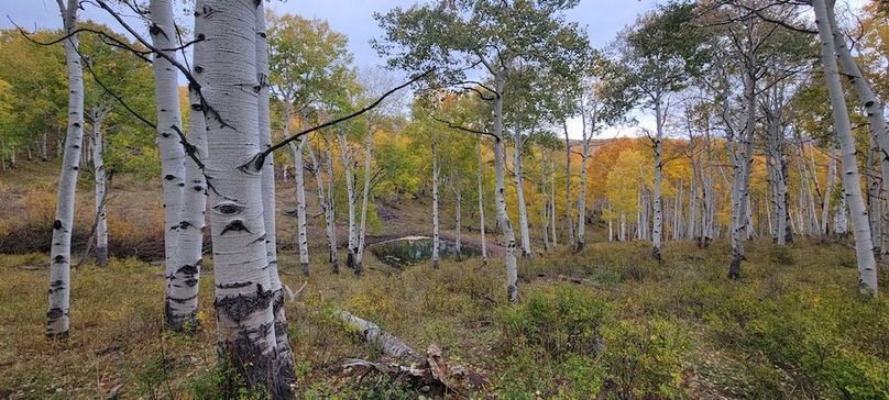 Copy of 20231011_095718