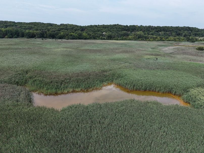 DJI_20250816150845_0387_D