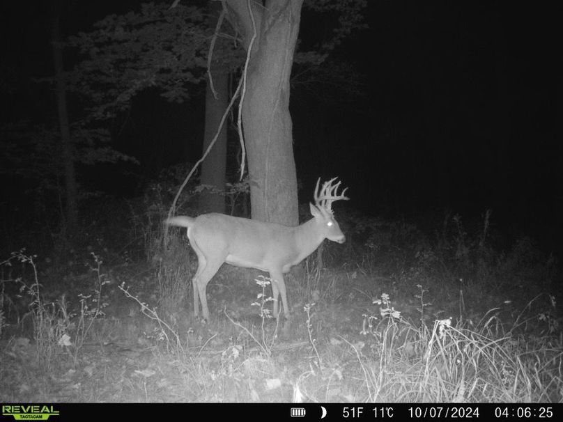 868032064794831-80-3-10072024070708-HD-SYFW0320 Large