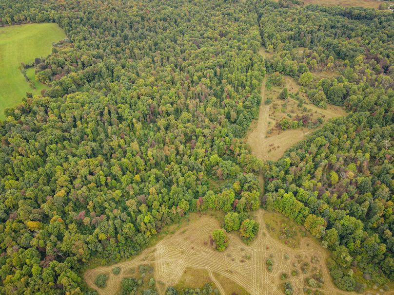 dji_fly_20230923_081522_113_1695471334094_photo