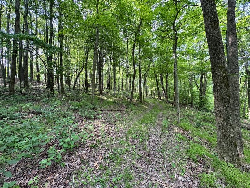 Pleasants, WV 168.59 AC Superior, Swank, Young-055