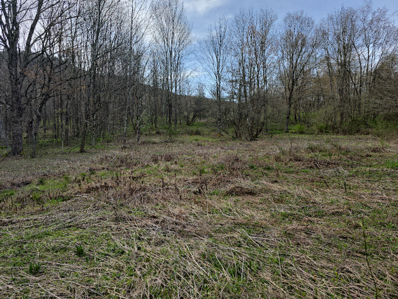 photo_074f5e16-d00b-4077-a625-8ef67bc1ecbd