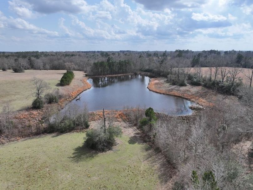 dji_fly_20260220_123512_0196_1771858380983_photo