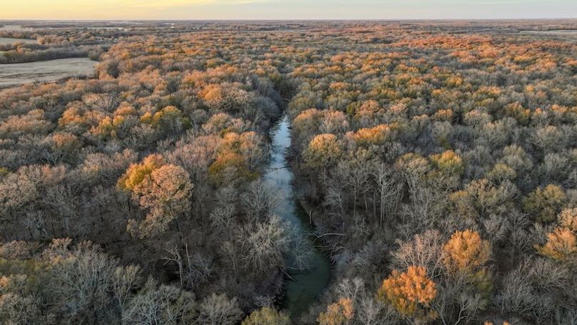 St. Francis 216.9 Calvin Parker Farms Profile -32