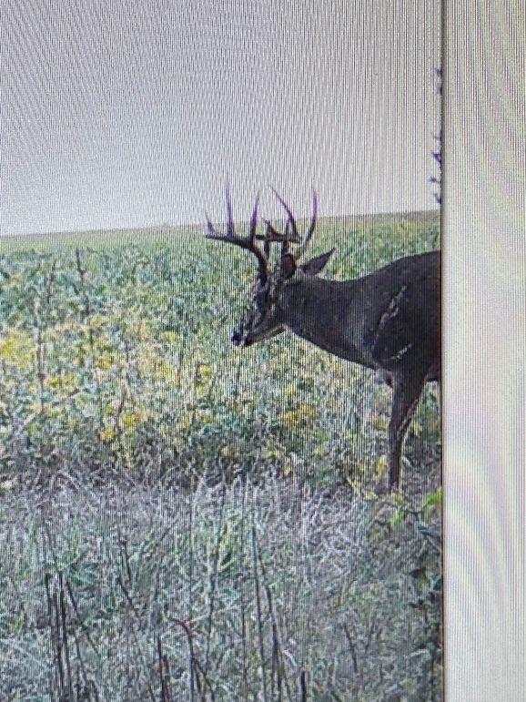 71763576376__C9BCE37F-AEC9-46A5-BD60-D269913A74FB