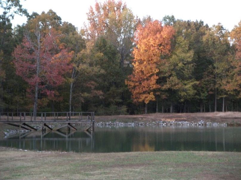 Fall Colors