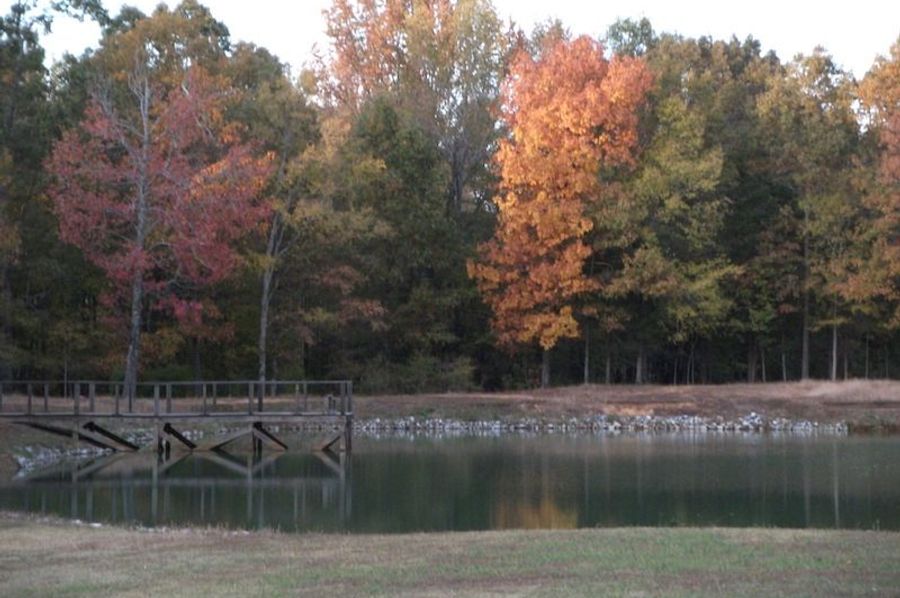 Fall Colors