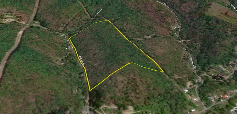 Screenshot 2025-09-03 at 1.35.34 PM