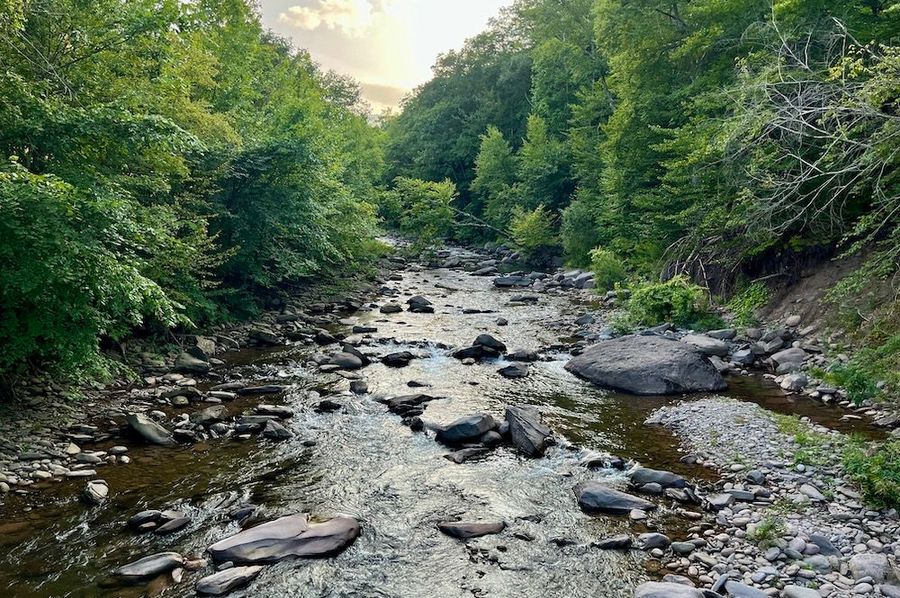 p47 Woodland Creek