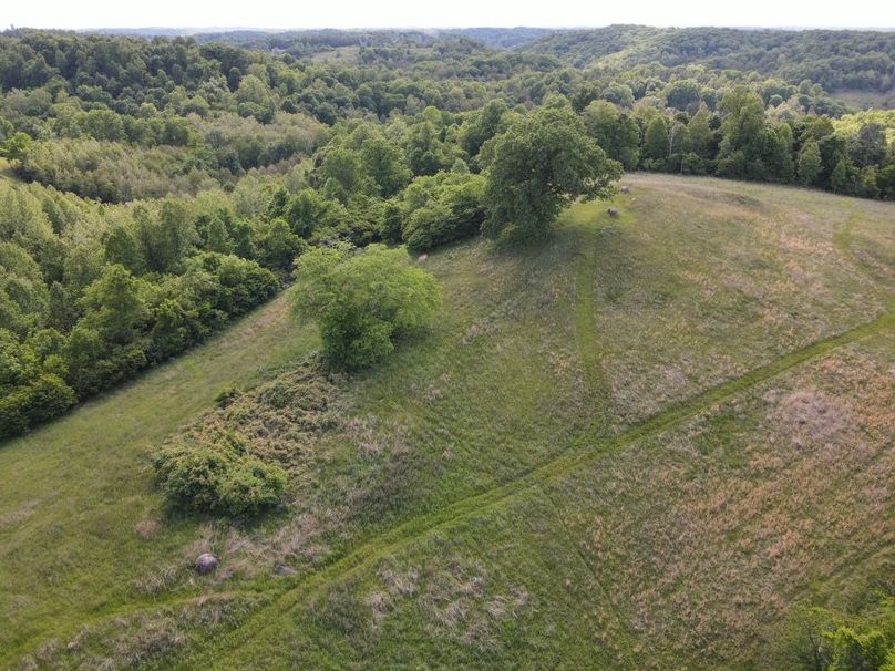 DJI_0135_W
