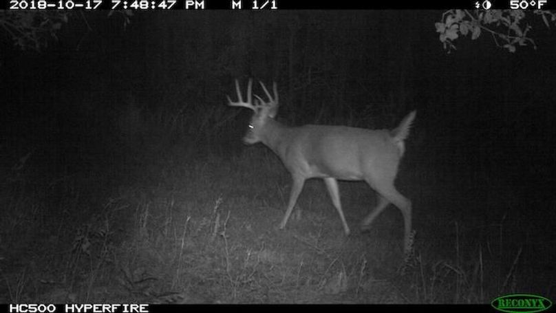 2018-10-17 19-48-47 M 1_1