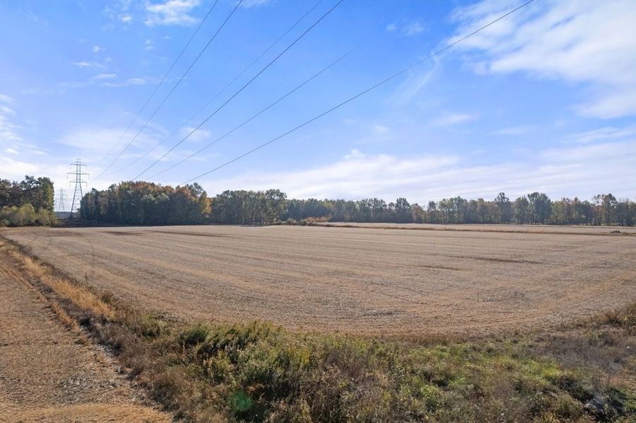 5-web-or-mls-DJI_0151