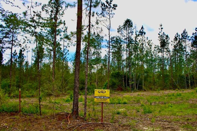 75958596-8FA2-4CCC-AB9B-BF7EDEA3C679_1_105_c