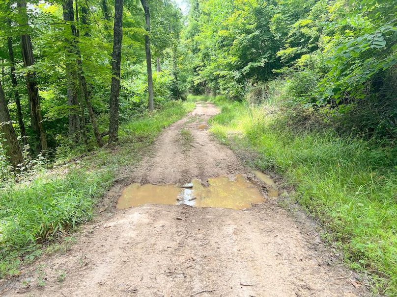 Braxton, WV 46 AC Cooper-79