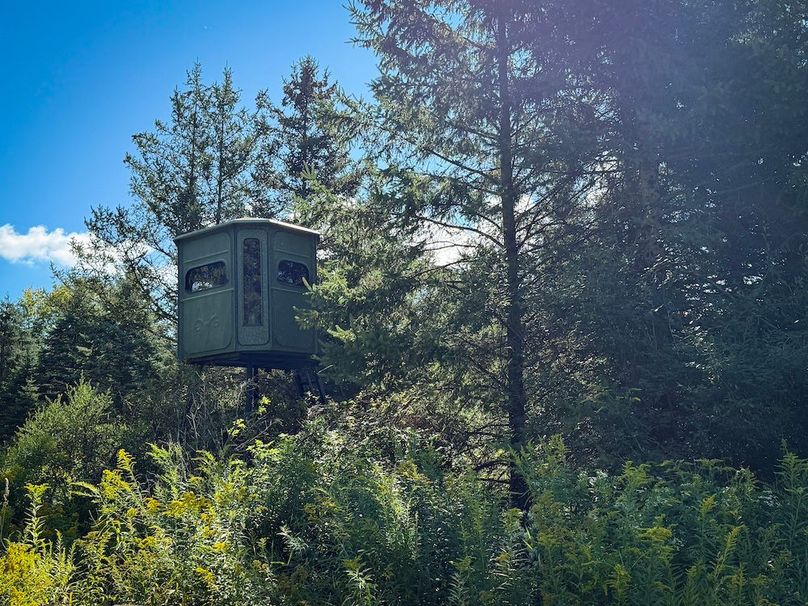 Tioga NY 232.62 Shores Photos 31