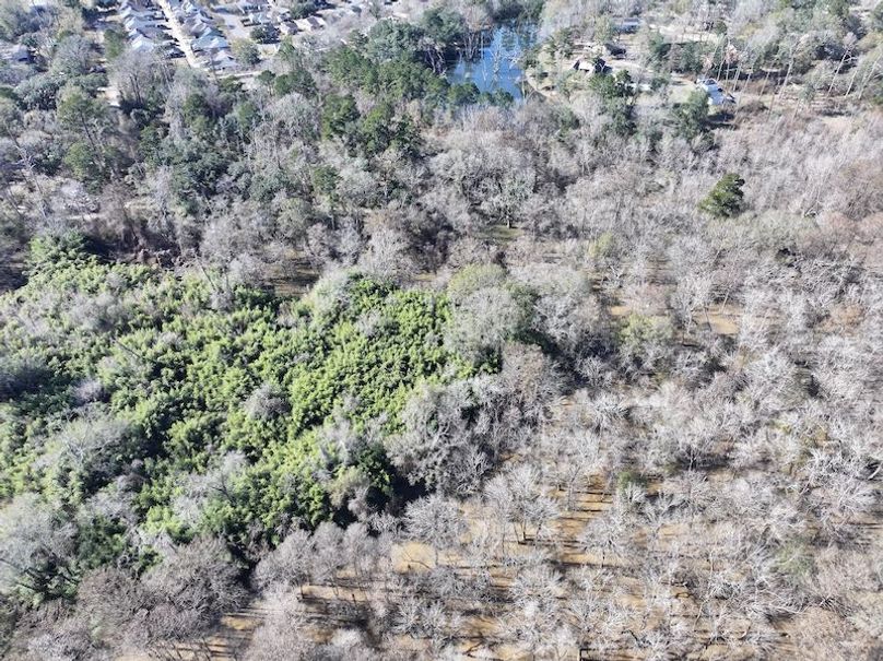 dji_fly_20260127_125640_0986_1769549082408_photo