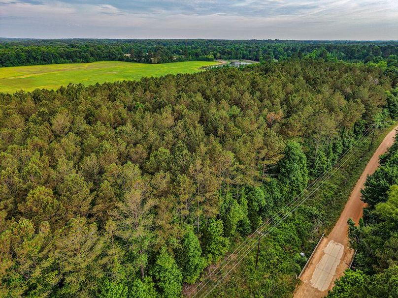 Chickasaw Tract 1-05
