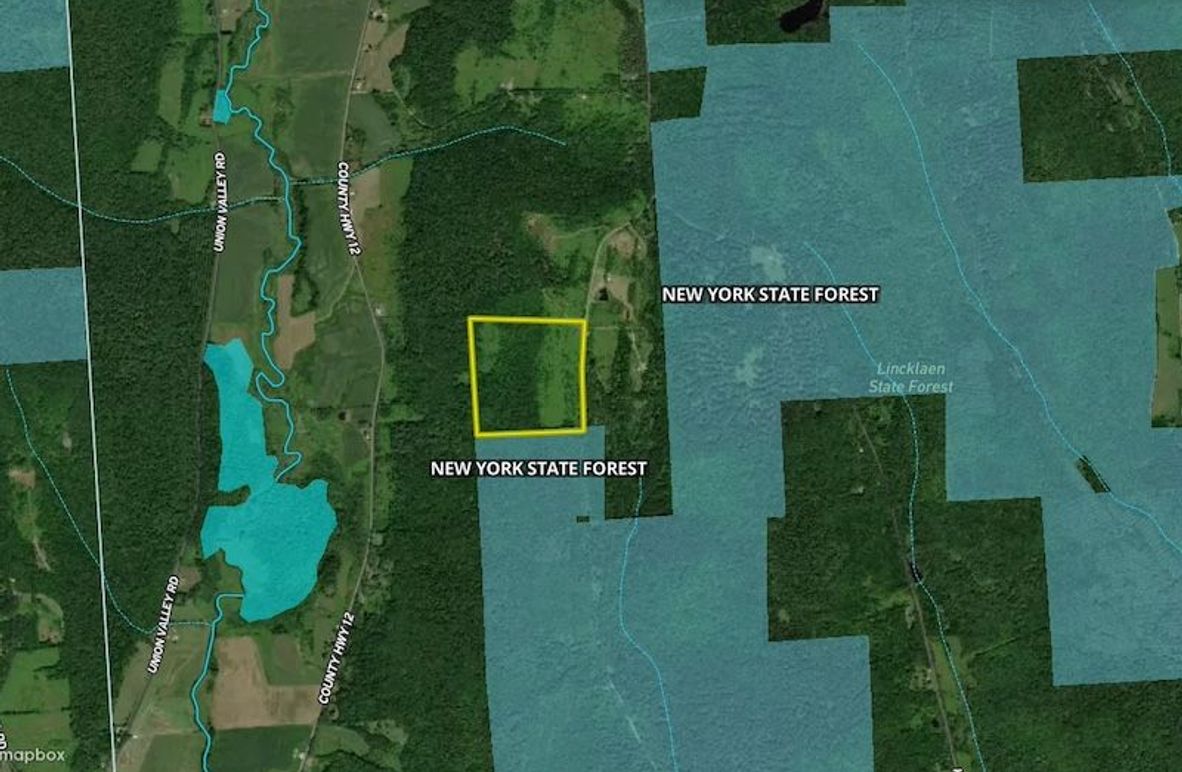 Chenango 56.09 Treiling Estate Wide Area