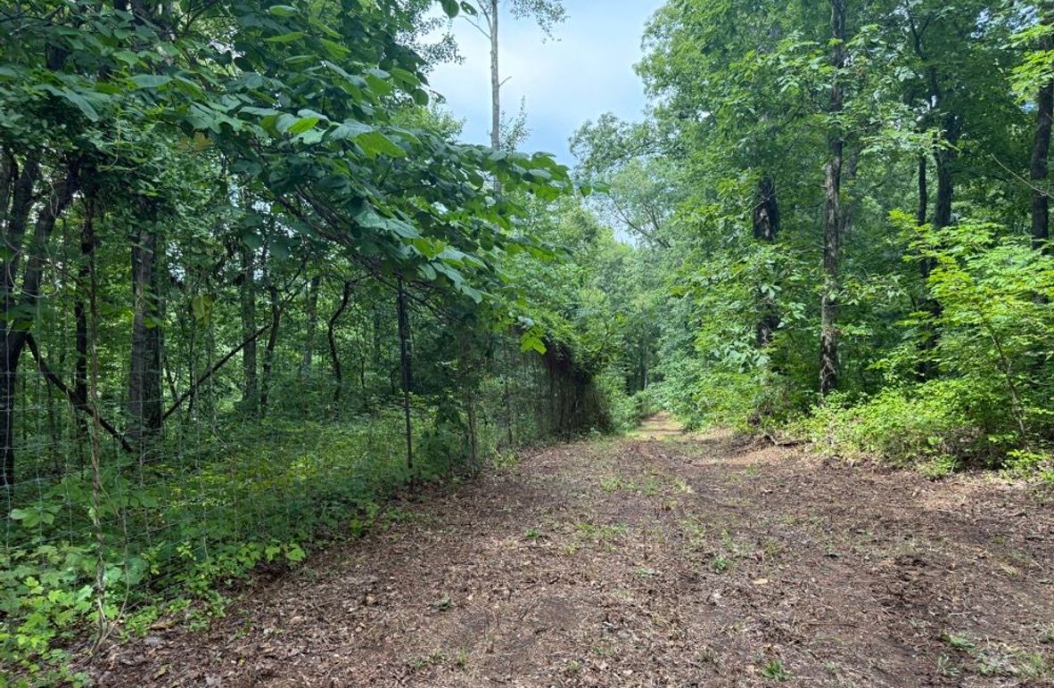 006 perimeter trail along the east boundary and previously high fenced enclosure