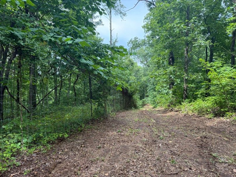 006 perimeter trail along the east boundary and previously high fenced enclosure