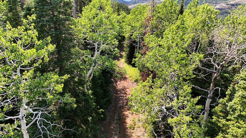 DJI_20250726170538_0105_D