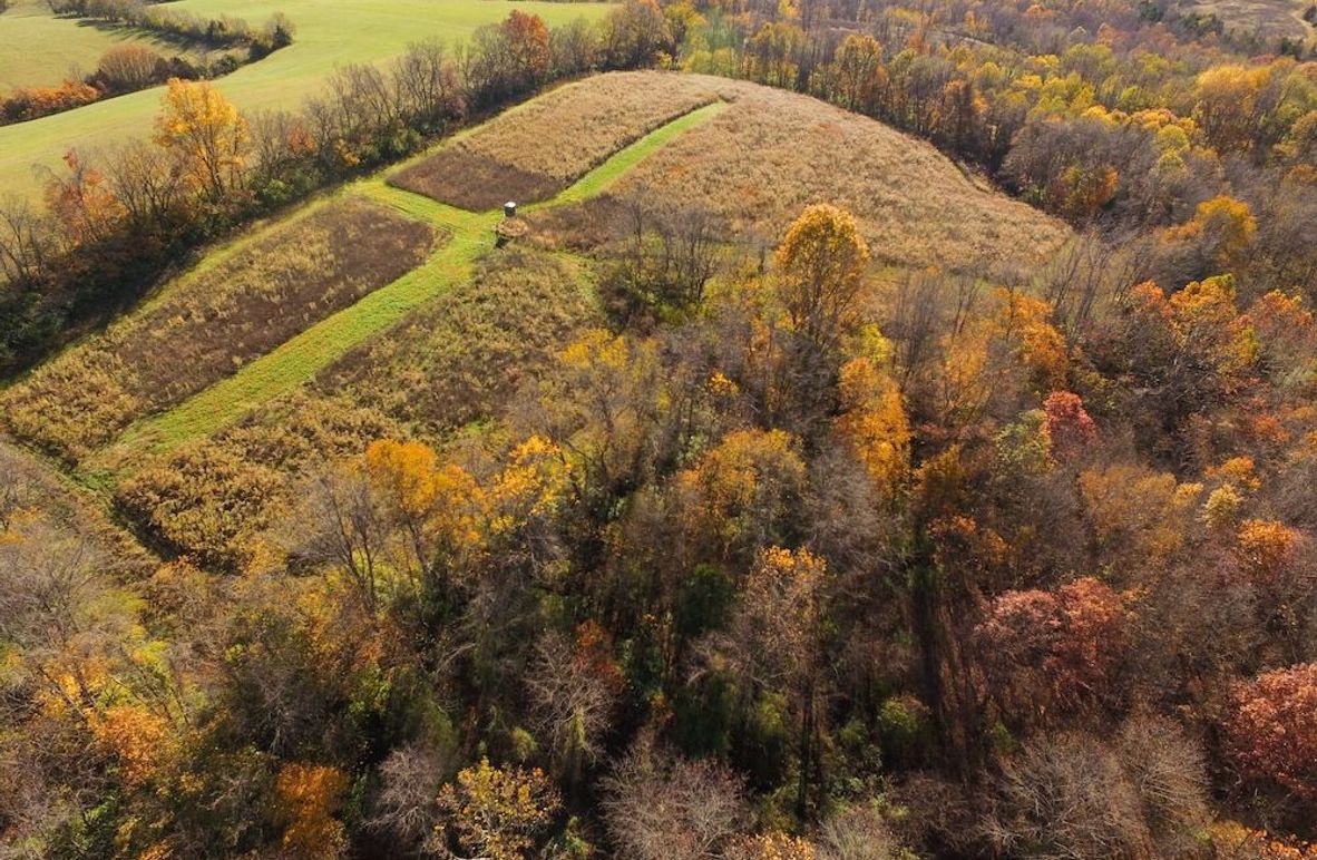 Fleming Petry 115-02