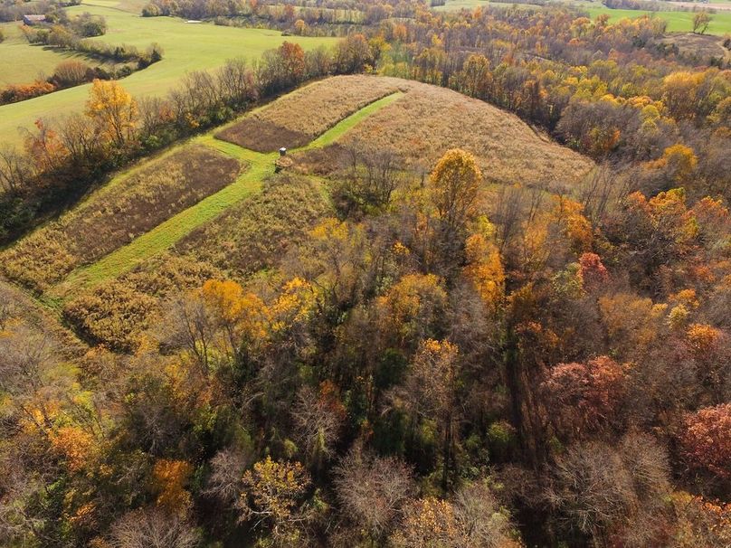 Fleming Petry 115-02