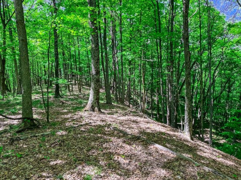 Tyler, WV 161.03 AC Fitzsimmons-097