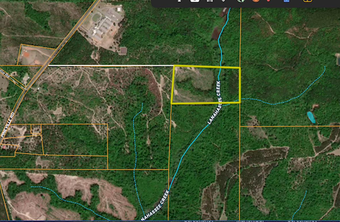 Screenshot 2025-08-04 at 11.40.37 AM