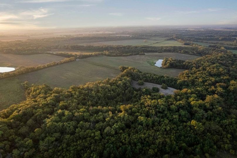 Lamar County- 93 acre reshoot (18 of 38)