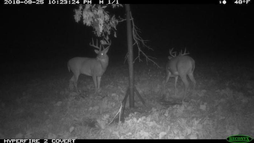 2018-09-25 22-23-24 M 1_1