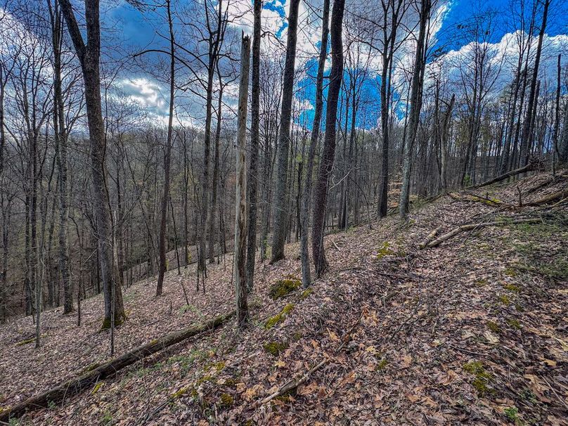 Wirt, WV 62.5 AC Full-18