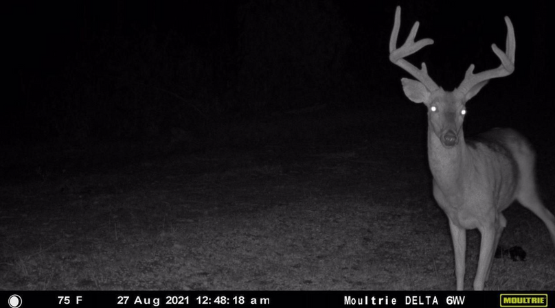 Screenshot 2023-07-27 at 9.56.50 PM