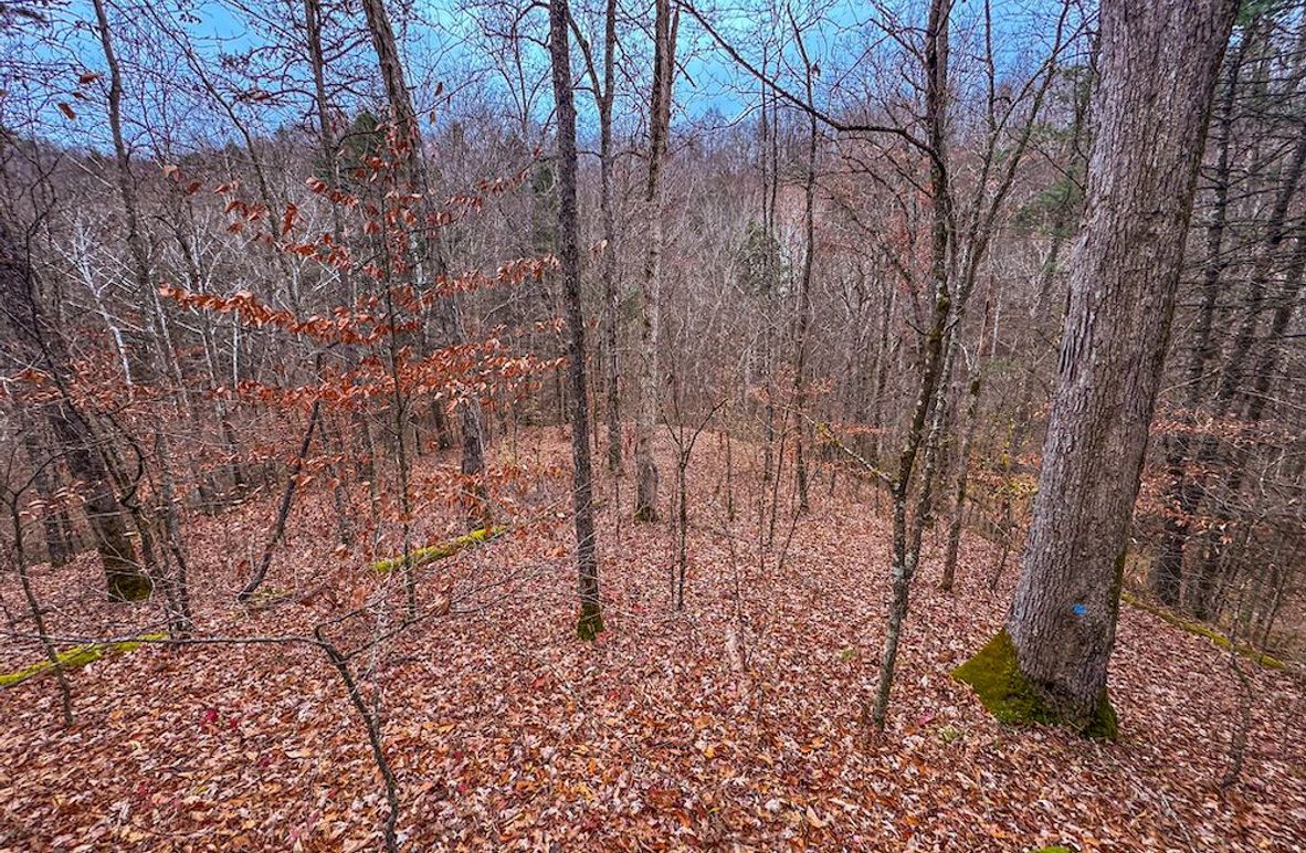 Ritchie, WV 15.5 AC Harper-01