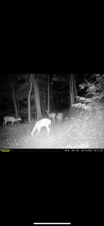 52B272F1-2D0C-463F-8167-39DF9FC6C326_1_102_o