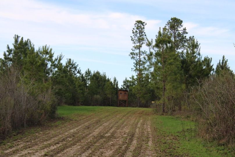 A3B39736-EA4D-4B44-A3C1-8EA9B9BED4BA_1_105_c