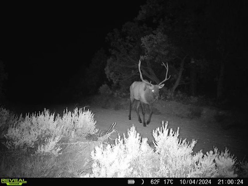 860516060102641-100-2-10042024210024-V-W1000165