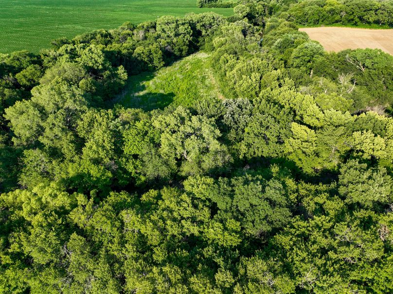 Ottawa, KS, 8.95_018