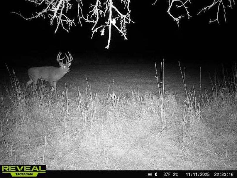 865814042678977-100-2-11112025223316-W1083311