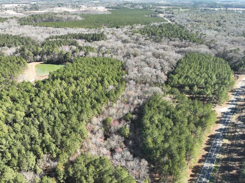 dji_fly_20240207_103618_41_1707320802137_photo