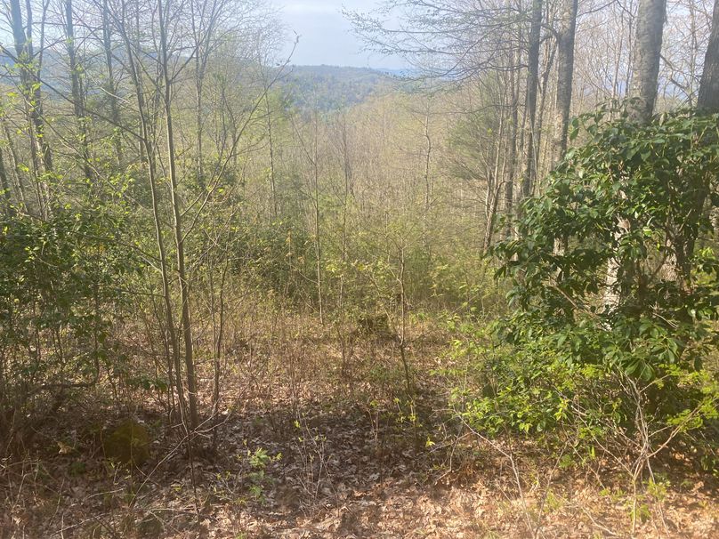 Jackson 2.19 Mansmith-07