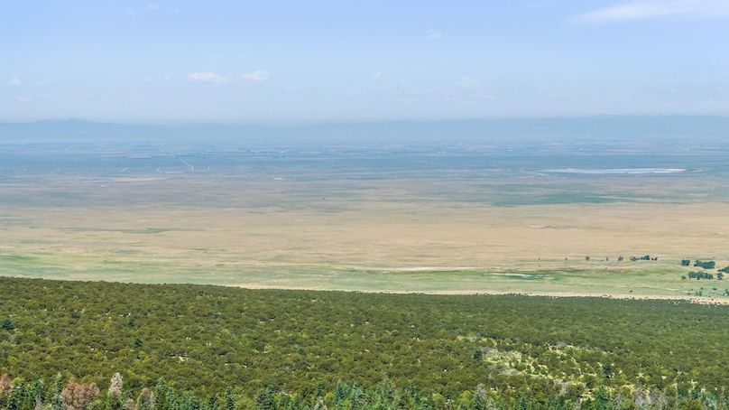 DJI_20250619122419_0218_D_1