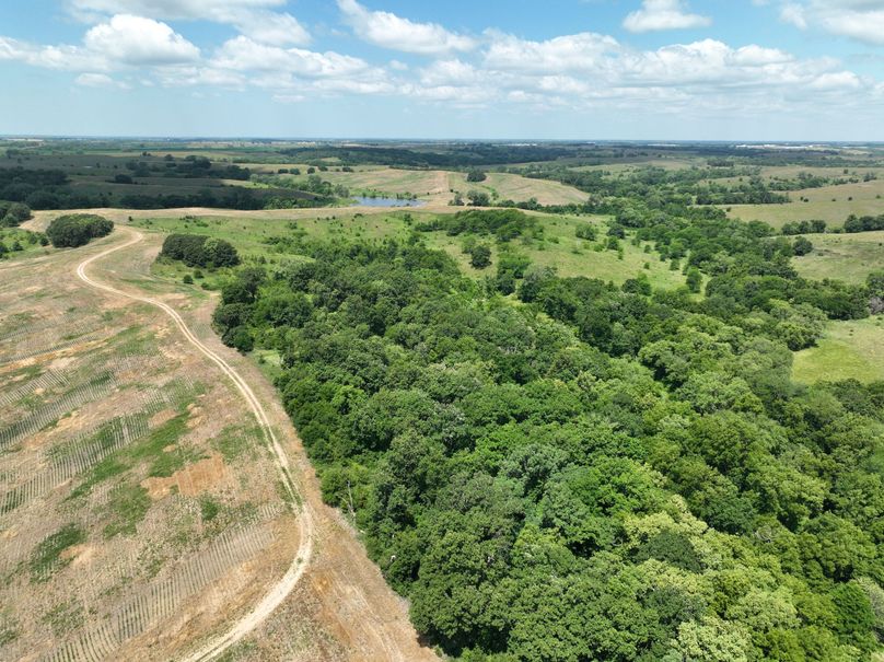 dji_fly_20230625_120520_473_1687717489209_photo