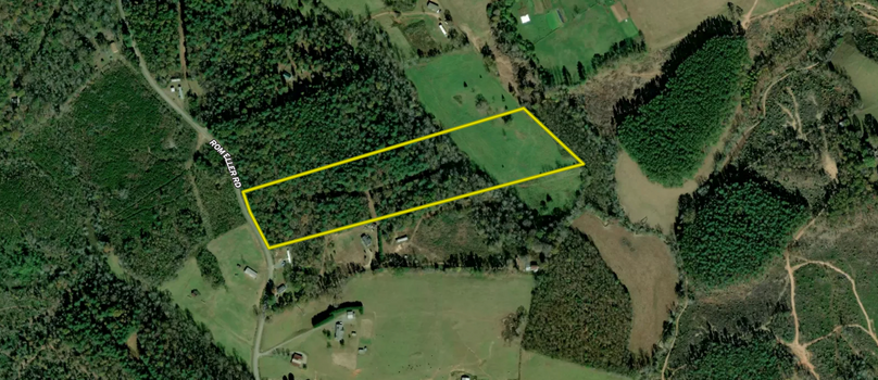 Screenshot 2024-03-06 at 11.41.20 AM