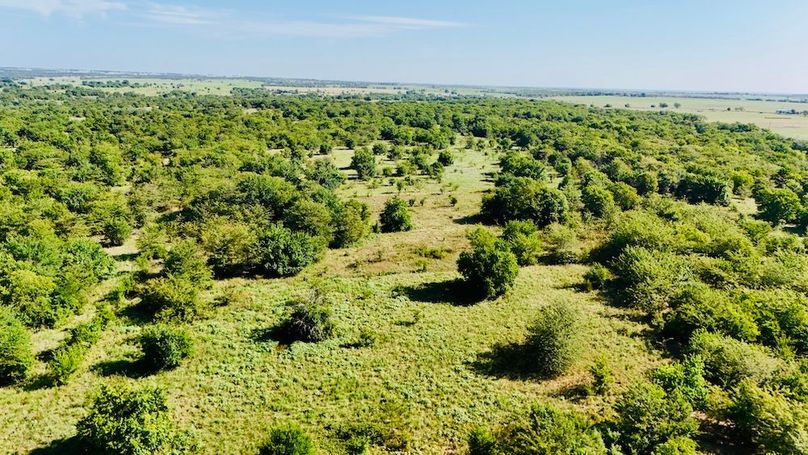 dji_fly_20250728_093844_0050_1753739696798_photo