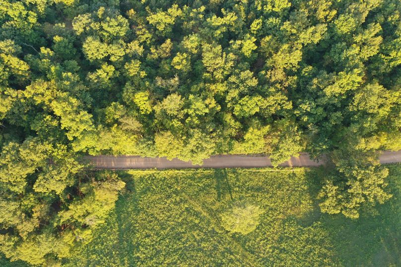 DJI_0682