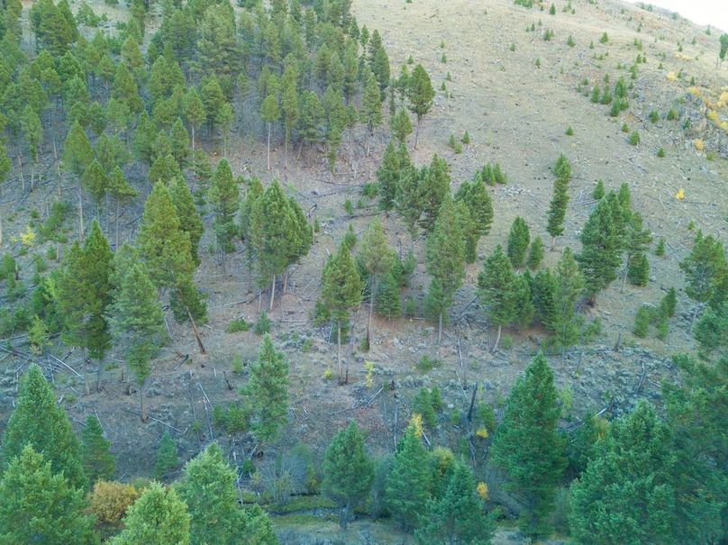 20240925-DJI_0093